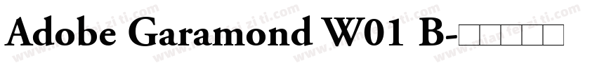 Adobe Garamond W01 B字体转换